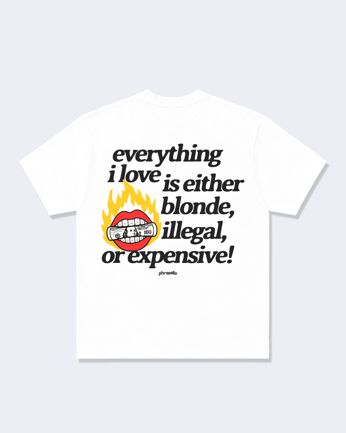 Everything I Love is Either Blonde, Illegal, or Expensive with Graphic Tee Shirt