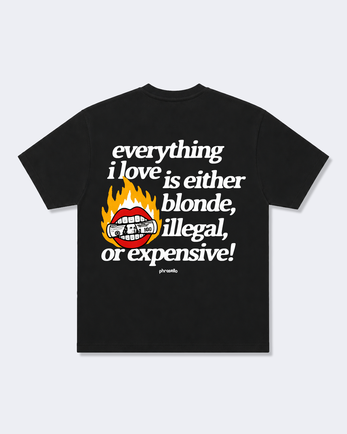Everything I Love is Either Blonde, Illegal, or Expensive with Graphic Tee Shirt
