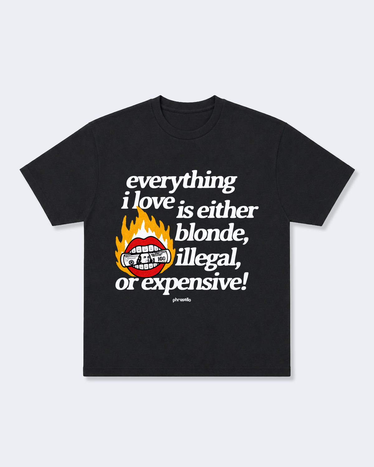 Everything I Love is Either Blonde, Illegal, or Expensive with Graphic Tee Shirt